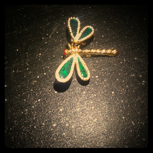 Jewelry - Dragonfly pin
